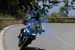 0T0A8158