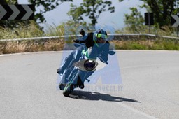 0T0A8588