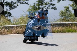0T0A9149