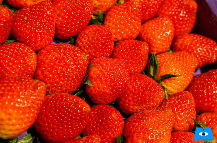 26042018-FRAGOLE