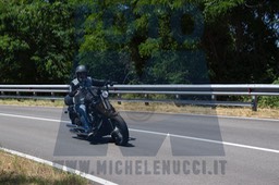 IMG_7286