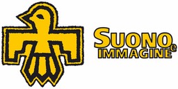 Logo suono immagine Colori orizzontale