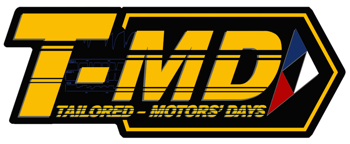 LOGO T-MD adesivo casco