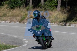 MICH0016