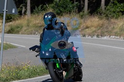 MICH0017