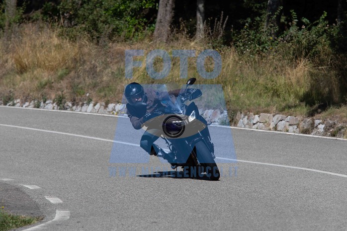MICH0029