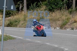 MICH0031