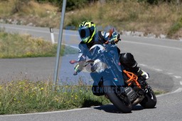 MICH0095