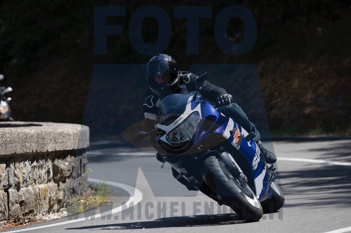 MICH0103