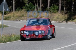 MICH0132