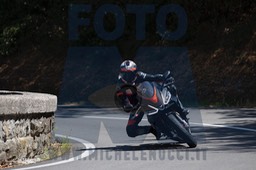 MICH0161
