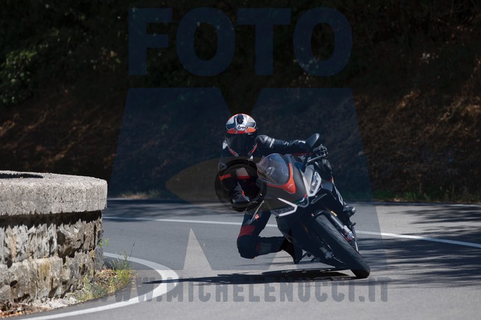 MICH0161