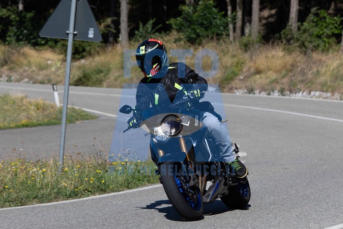 MICH0172