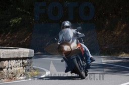 MICH0206