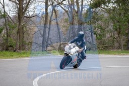 MICH0211