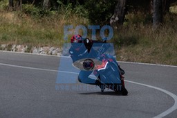 MICH0217