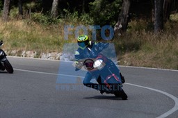 MICH0220
