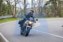 MICH0221