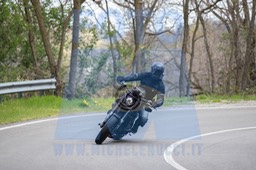 MICH0225