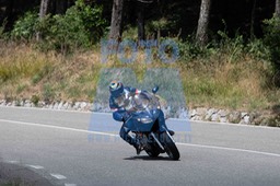 MICH0228