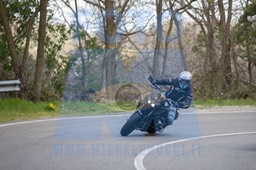 MICH0228