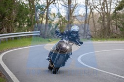MICH0231