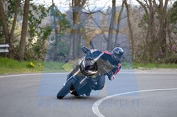 MICH0236