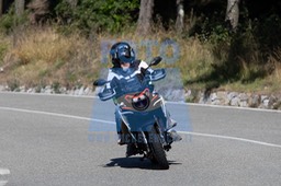 MICH0241