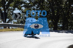 MICH0241