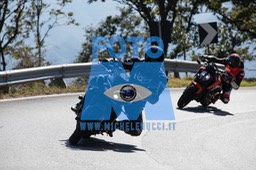 MICH0243