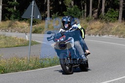 MICH0244