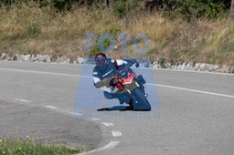 MICH0245