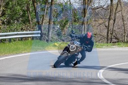 MICH0246
