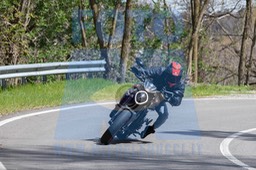 MICH0247