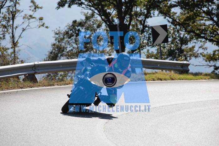 MICH0248