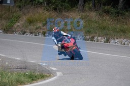 MICH0249