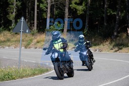 MICH0254
