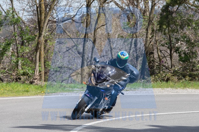 MICH0256