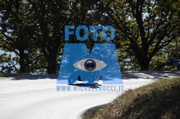 MICH0259