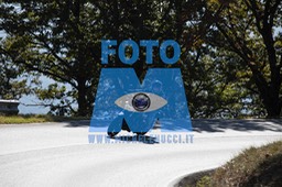 MICH0264