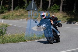 MICH0264