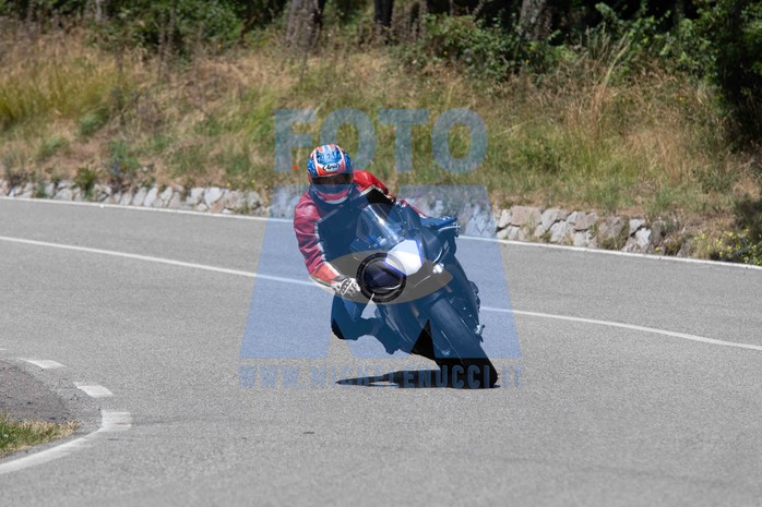 MICH0269