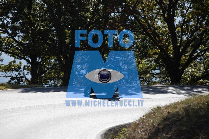 MICH0271