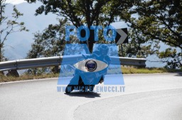MICH0273
