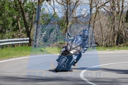MICH0275
