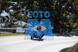 MICH0276