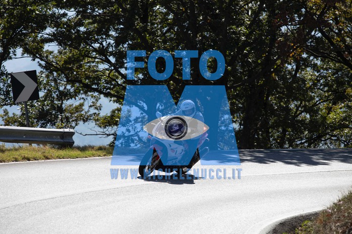 MICH0276