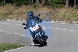 MICH0279