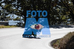 MICH0281