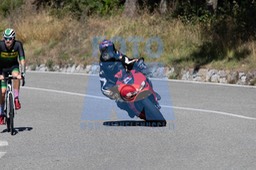MICH0281